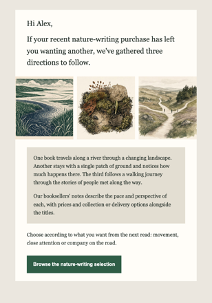Independent book store · Follow a reader's interest into another book email design preview