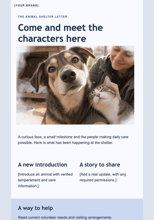 A little news from the shelter email design preview