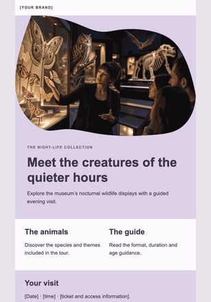After dark at the museum email design preview