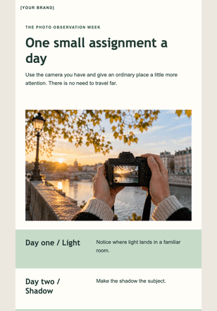 Seven days of looking a little closer email design preview