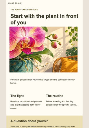 A little attention for your orchid email design preview