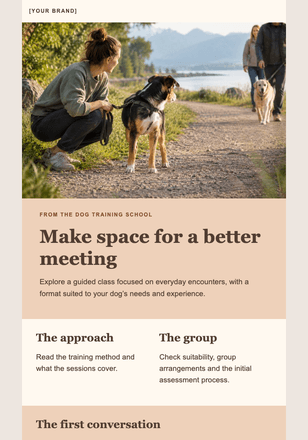 Calmer encounters, one step at a time email design preview