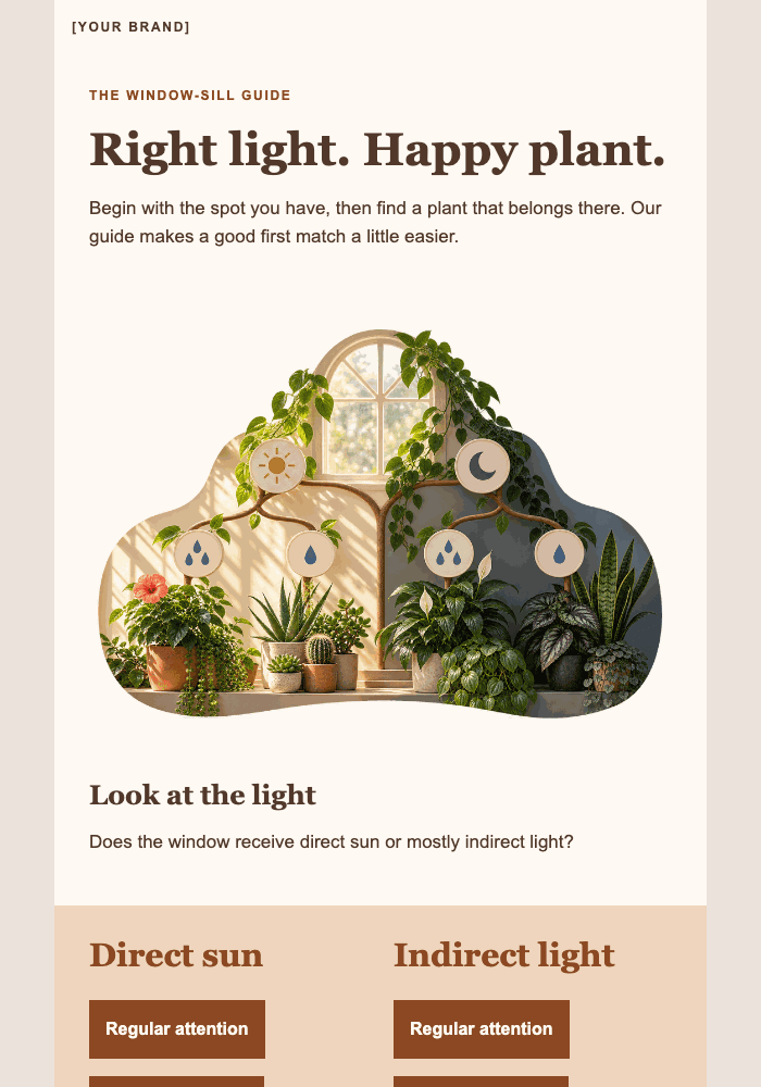 A plant for your window email design preview