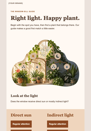 A plant for your window email design preview