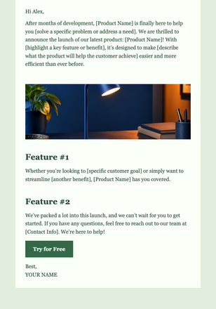 Introducing Our Exciting New Product email design preview
