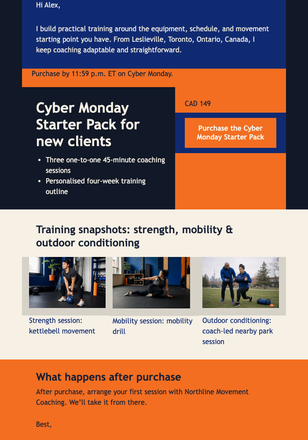 Cyber Monday Training Starter Pack email design preview
