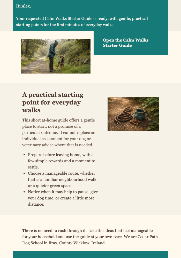 Requested Dog Walk Guide email design preview