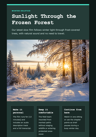 Sunlight Through the Frozen Forest email design preview