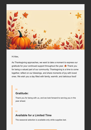 Thanksgiving email design preview