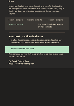 Four Sessions, One Clever Pup email design preview