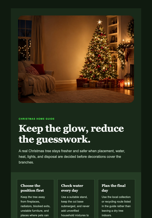 Your Christmas Tree Care Plan email design preview