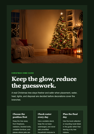 Your Christmas Tree Care Plan email design preview