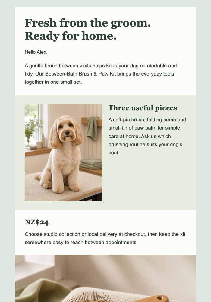Post-Groom Care Kit email design preview