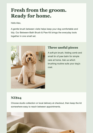 Post-Groom Care Kit email design preview