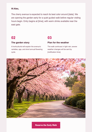 Cherry Walk Spring Invitation email design preview