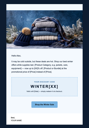 Winter Sale email design preview