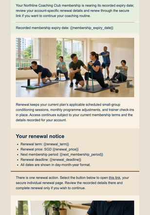 New Year Coaching Renewal Notice email design preview
