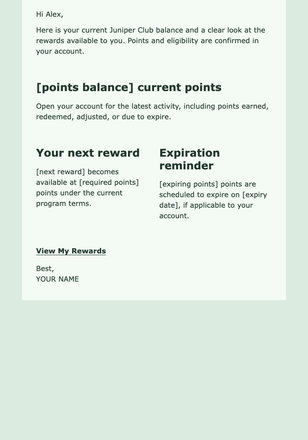 Loyalty Points Balance email design preview