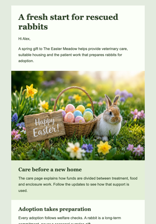 Help the Rabbit Rescue This Spring email design preview