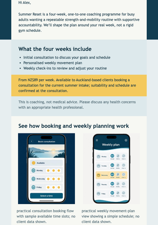 Summer Reset Intake email design preview