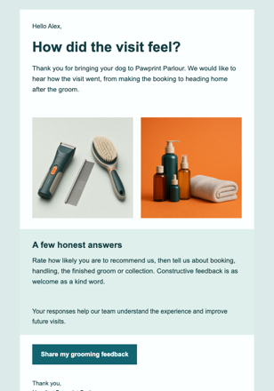 Grooming Experience Check-In email design preview