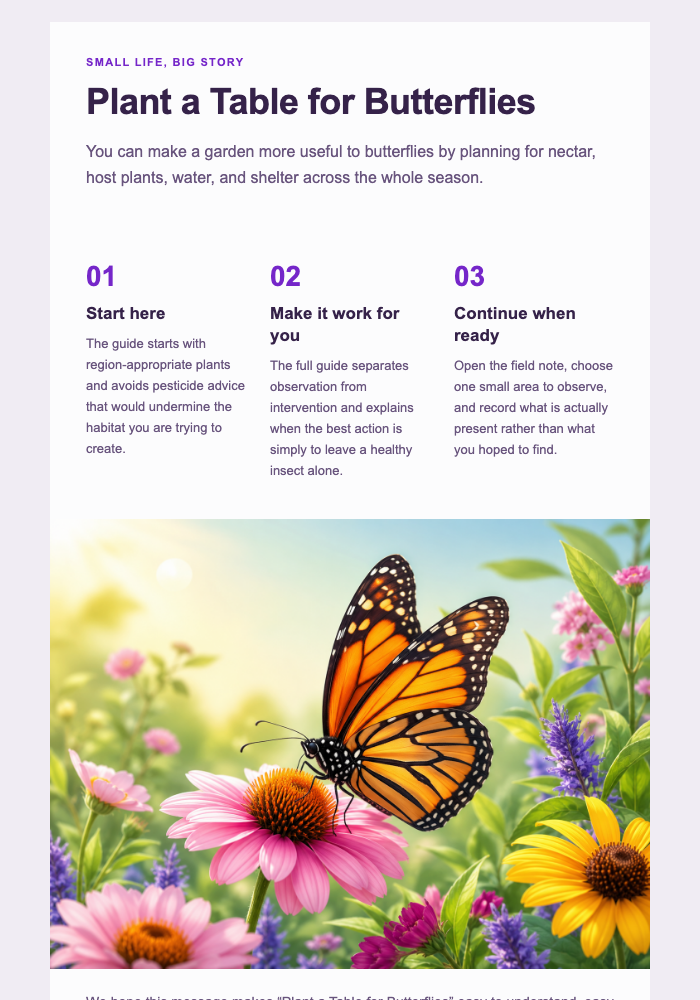 Plant a Table for Butterflies email design preview