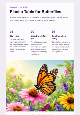 Plant a Table for Butterflies email design preview