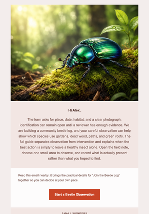 Join the Beetle Log email design preview