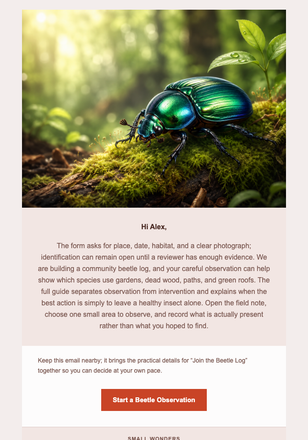 Join the Beetle Log email design preview