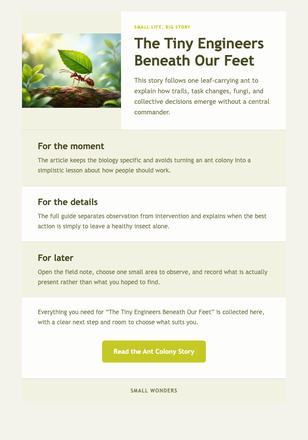 The Tiny Engineers Beneath Our Feet email design preview