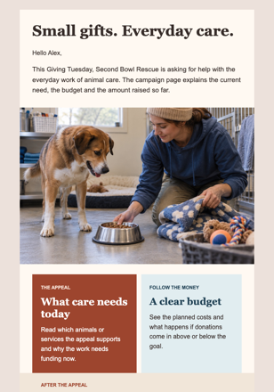The Donation Jar Grew Paws email design preview