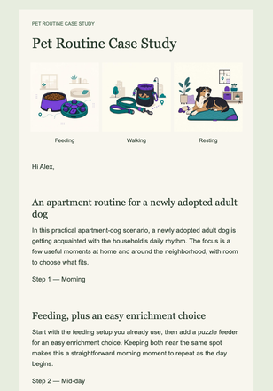 Pet Routine Case Study email design preview