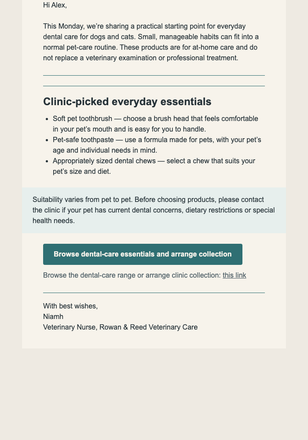 Practical Pet Dental Picks email design preview
