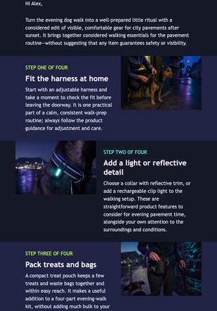 After-Dark Dog Walk Edit email design preview