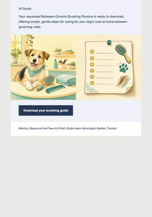 Your Brushing Routine Is Ready email design preview