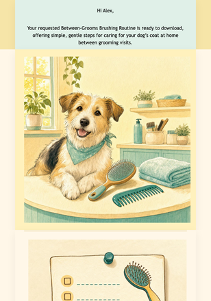 Your Brushing Routine Is Ready email design preview