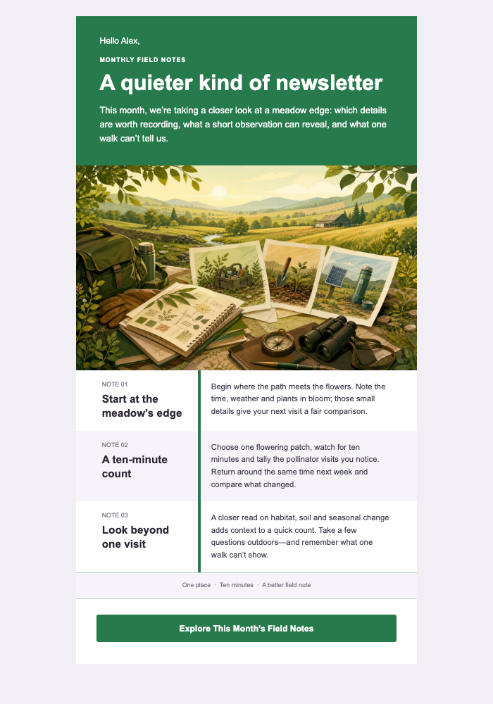 The Monthly Field Notes — General Newsletter email design preview