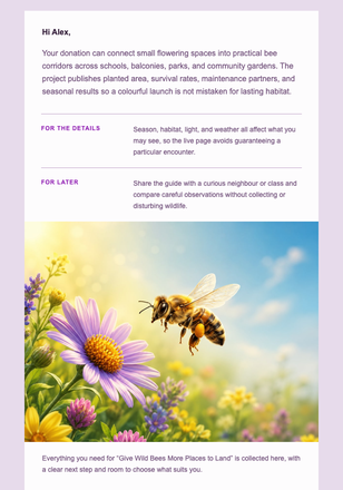 Give Wild Bees More Places to Land email design preview