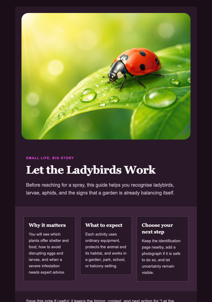 Let the Ladybirds Work email design preview