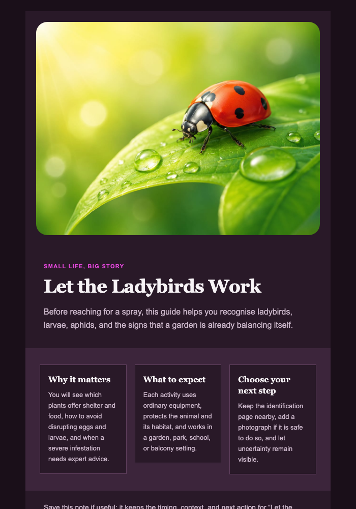 Let the Ladybirds Work email design preview