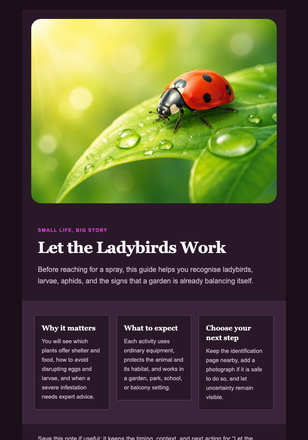 Let the Ladybirds Work email design preview