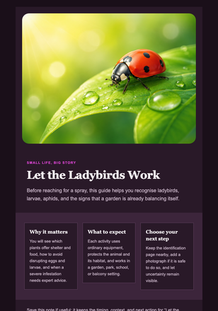 Let the Ladybirds Work email design preview