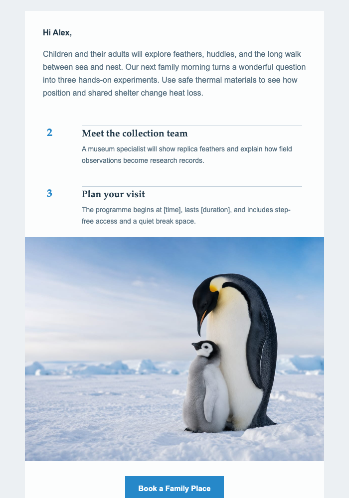 Polar Family Museum Morning email design preview