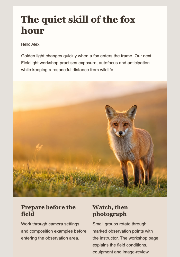 The Fox Hour Photo Workshop email design preview