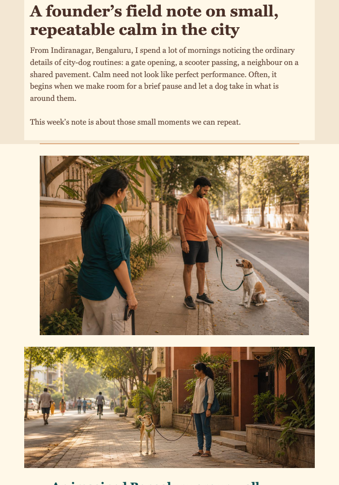 Wednesday Walk Field Note email design preview