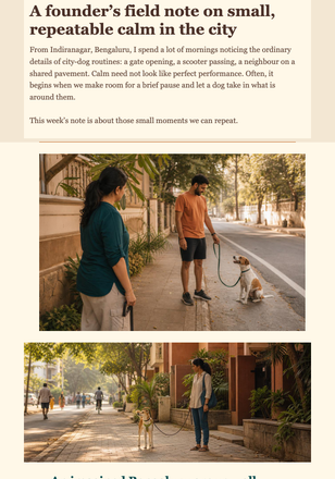 Wednesday Walk Field Note email design preview