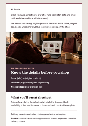 Black Friday, with the Terms Up Front — Flash Sale email design preview
