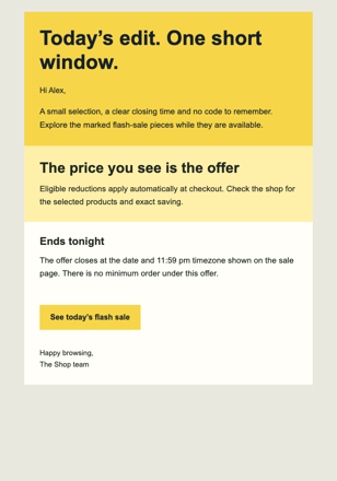 Flash Sale email design preview