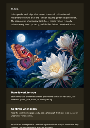 Meet the Night Pollinators email design preview
