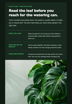 Your Monstera Care Reset email design preview